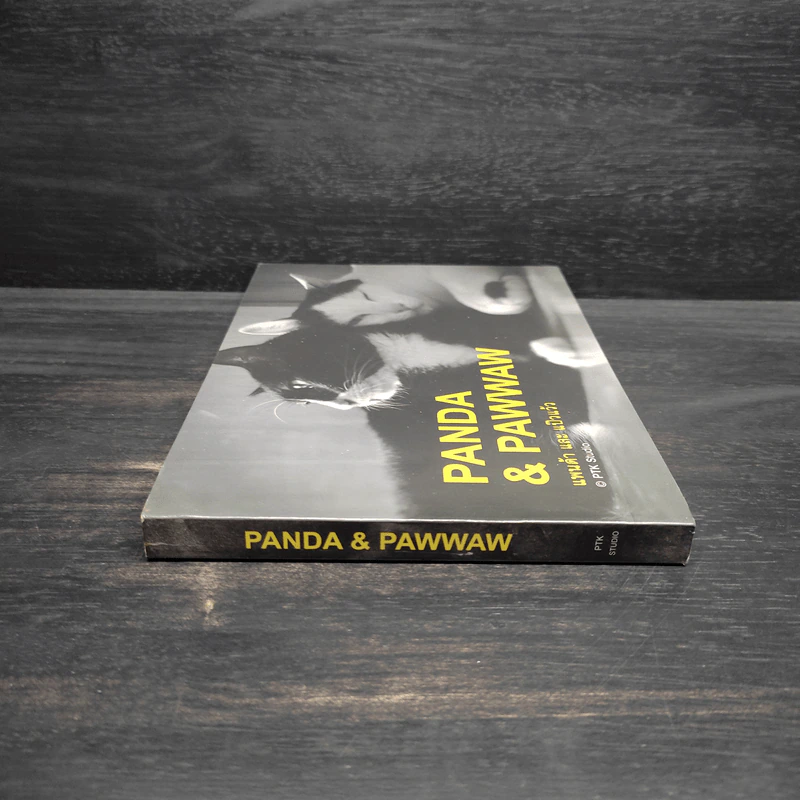 Panda & Pawwaw แพนด้า และ แป๊วแว้ว - องอาจ ชัยชาญชีพ รูปที่ 3