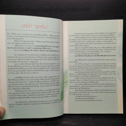 เล่นหุ้นในตลาดฟองสบู่ : The Art of Bubble - ภาววิทย์ กลิ่นประทุม, ธำรงชัย เอกอมรวงศ์ รูปที่ 6