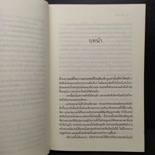 ทะเลไฟ - ณารา รูปที่ 6