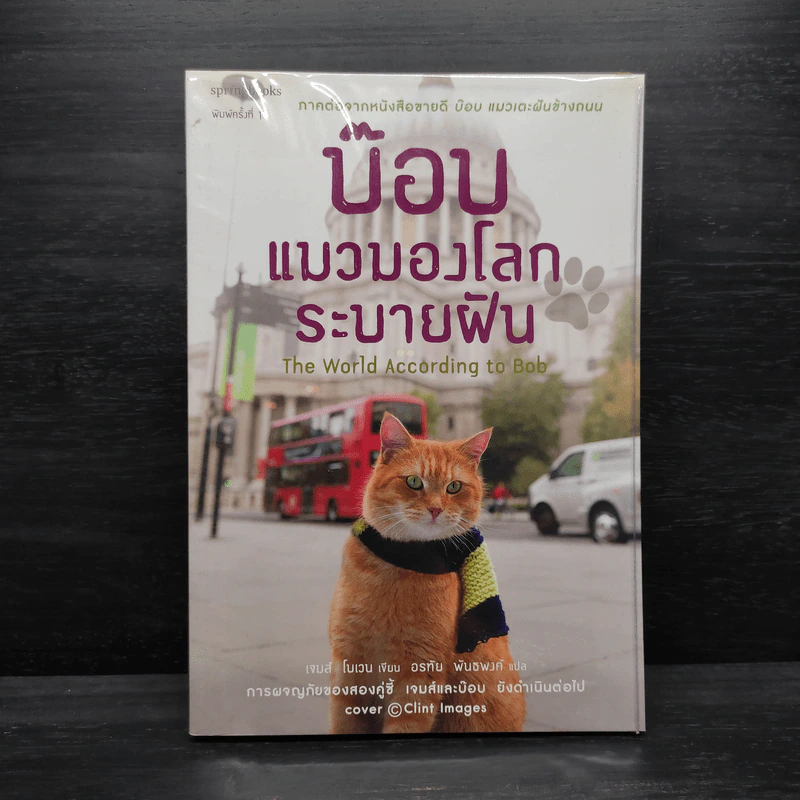 บ๊อบ แมวมองโลกระบายฝัน - เจมส์ โบเวน รูปที่ 1