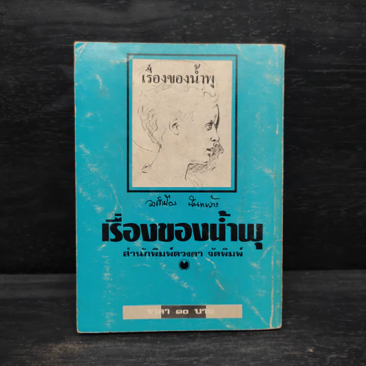 เรื่องของน้ำพุ - วงศ์เมือง นันทขว้าง รูปที่ 2
