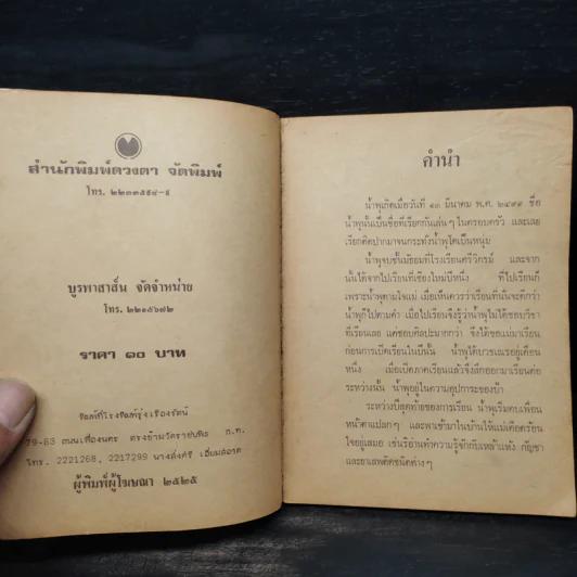 เรื่องของน้ำพุ - วงศ์เมือง นันทขว้าง รูปที่ 5