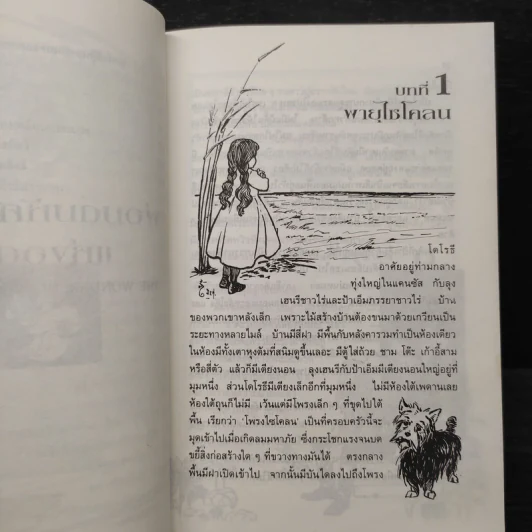 พ่อมดมหัศจรรย์แห่งออซ The Wonderful Wizard of OZ - แฟรงก์ โบม รูปที่ 8