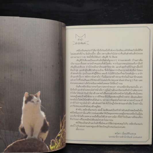 เหมียวอินเจแปน - จิราภรณ์ วิหวา, สลิลา มหันต์เชิดชูวงศ์ รูปที่ 5