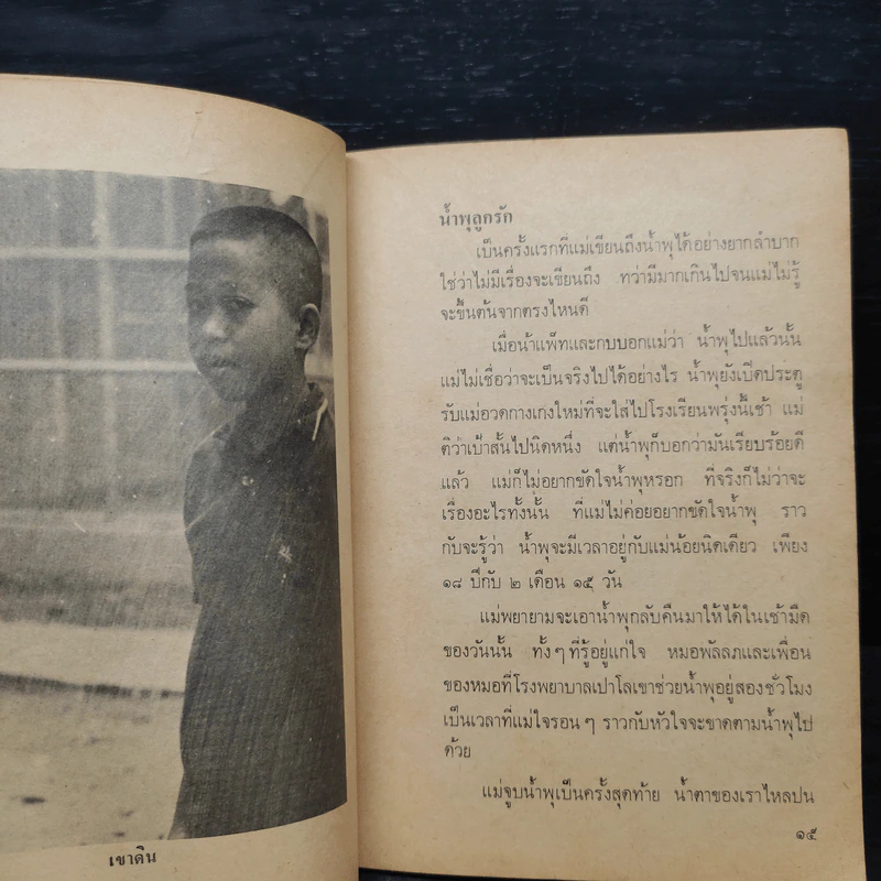 เรื่องของน้ำพุ - วงศ์เมือง นันทขว้าง รูปที่ 6