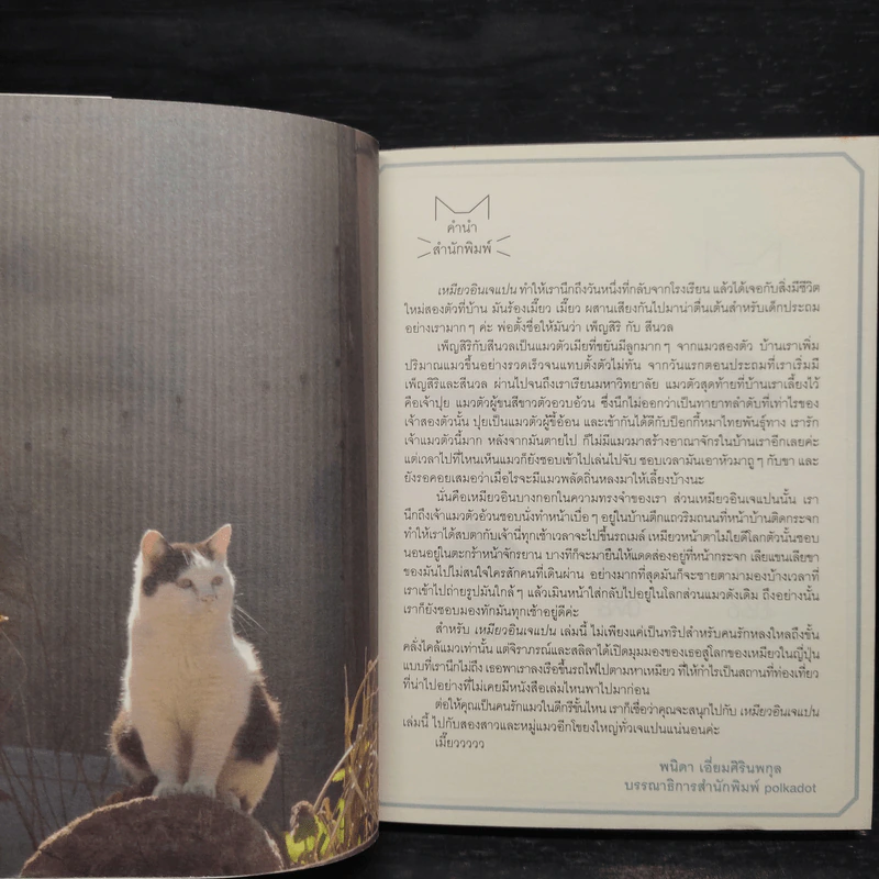 เหมียวอินเจแปน - จิราภรณ์ วิหวา, สลิลา มหันต์เชิดชูวงศ์ รูปที่ 5