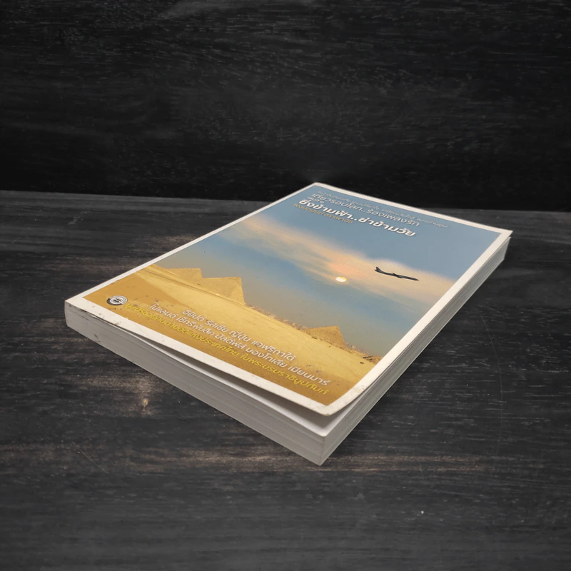 เที่ยวรอบโลก..ร้องเพลงรัก เล่ม 2 : ซิ่งข้ามฟ้า..ซ่าข้ามวัย - พงษ์อนันต์ สรรพานิช รูปที่ 4