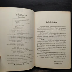 ไม่สิ้นไร้ ไฟสวาท - นันทนา วีระชน รูปที่ 5
