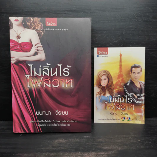 ไม่สิ้นไร้ ไฟสวาท - นันทนา วีระชน รูปที่ 1