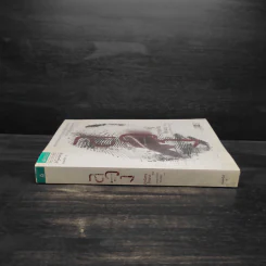 ลวง Missing You - ฮาร์ลาน โคเบน รูปที่ 3