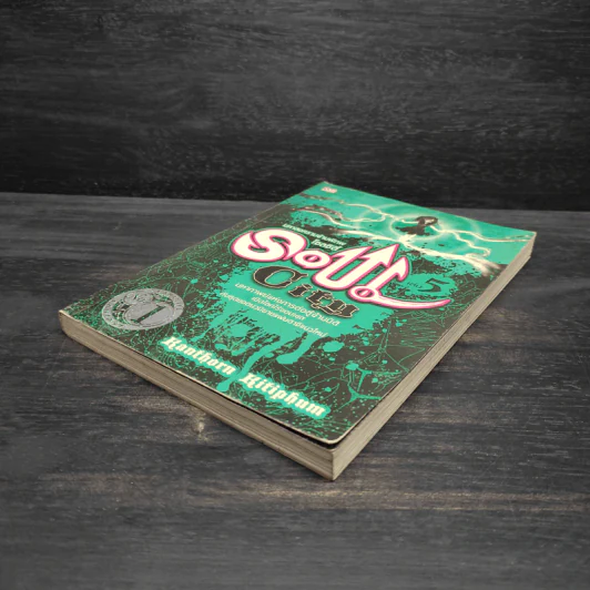 Soul City มหาสงครามข้ามพิภพ เล่ม 5 - kanthorn kitiphum รูปที่ 4