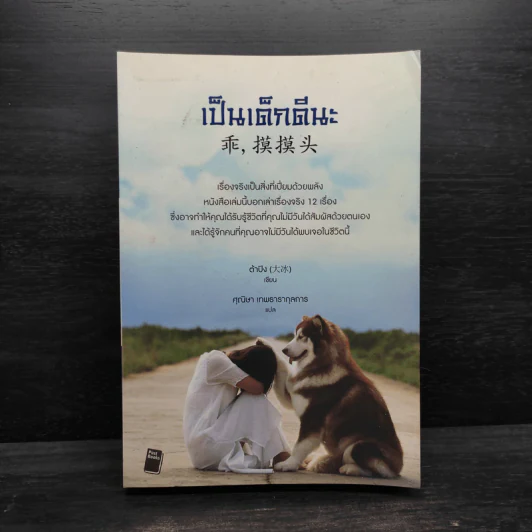 เป็นเด็กดีนะ - ต้าปิง รูปที่ 1