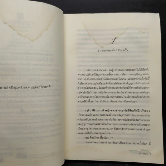 หัวใจหลงไฟมาร - หมึกทิพย์ รูปที่ 7