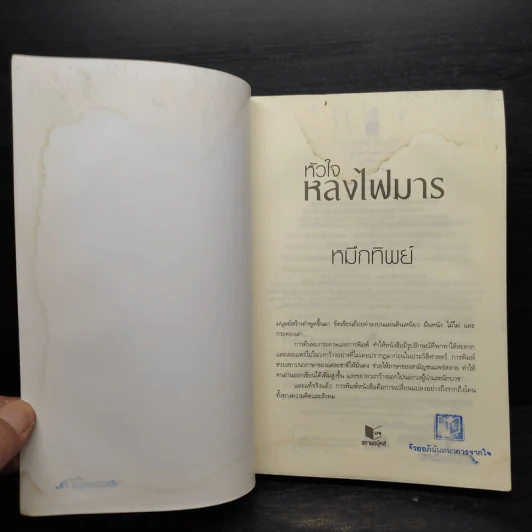 หัวใจหลงไฟมาร - หมึกทิพย์ รูปที่ 5