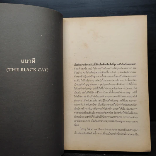 The Black Cat แมวผี รวมเรื่องสั้นเขย่าขวัญ - เอ็ดการ์ อัลลัน โป รูปที่ 7