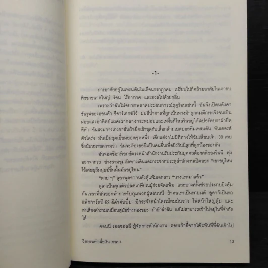 วีรกรรมทำเพื่อเงิน ภาค 4 - เจเน็ท อีวาโนวิช รูปที่ 6