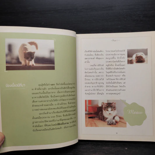 Cat คาเฟ่ - วรรธนี จันทรมิตรี,สรินนา วัฒนา รูปที่ 8