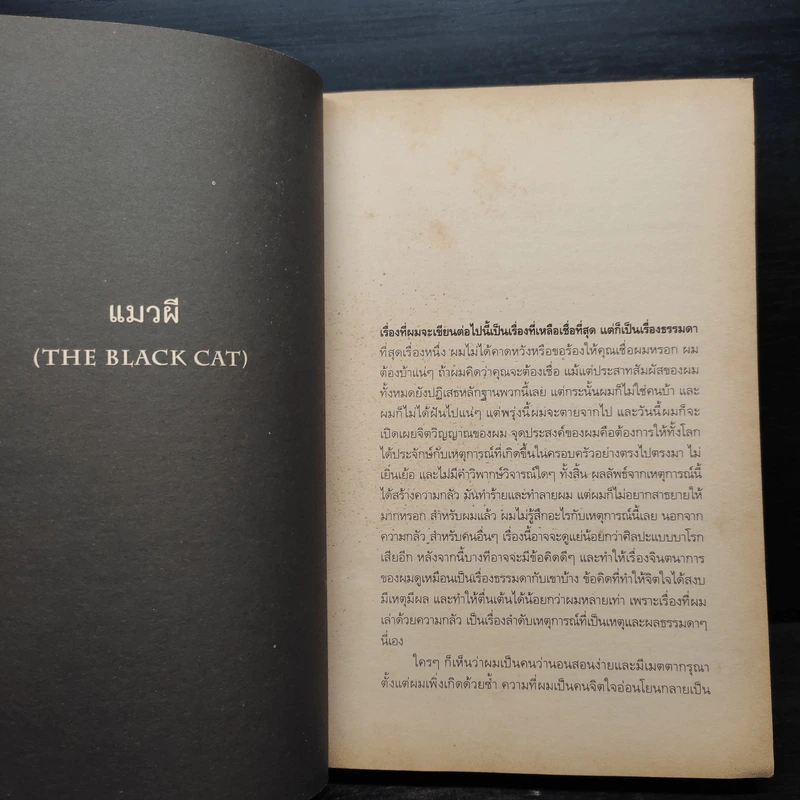 The Black Cat แมวผี รวมเรื่องสั้นเขย่าขวัญ - เอ็ดการ์ อัลลัน โป รูปที่ 7
