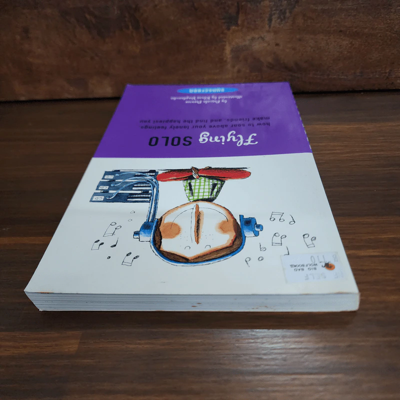 Flying Solo - Erin Zimring รูปที่ 5