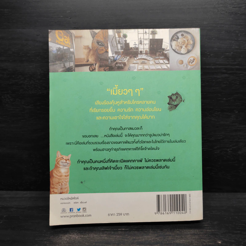 Cat คาเฟ่ - วรรธนี จันทรมิตรี,สรินนา วัฒนา รูปที่ 2