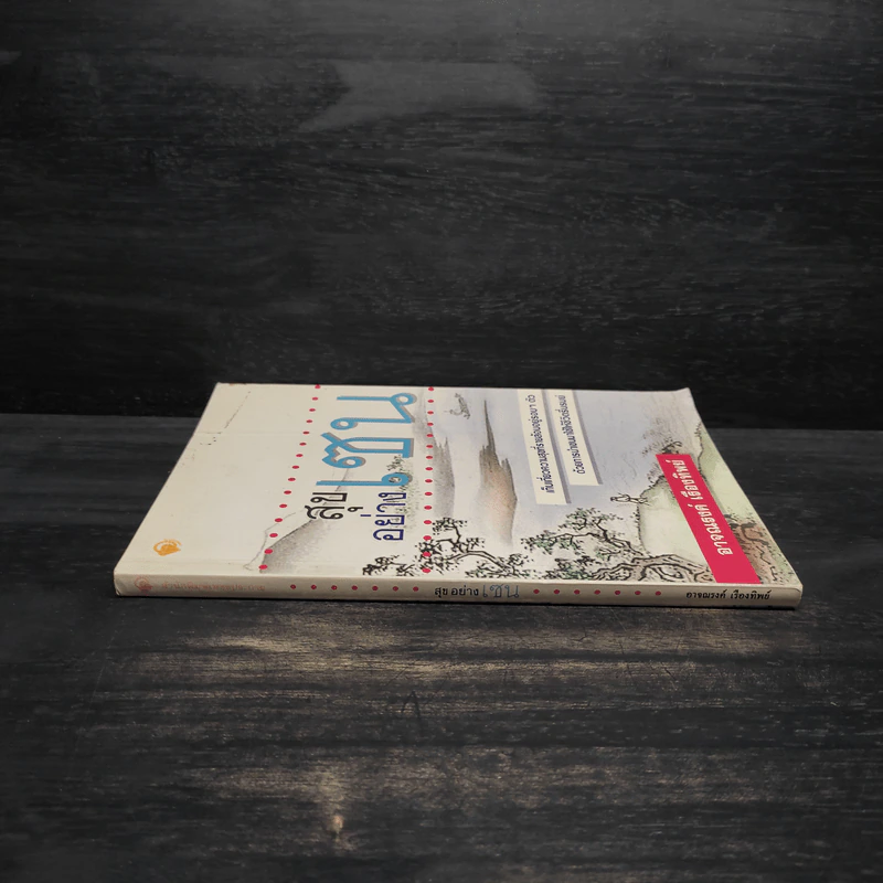 สุขอย่างเซน - อาจณรงค์ เรืองทิพย์ รูปที่ 3