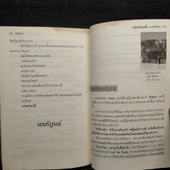 หว่ออ้ายหนี่ ขอหยุดใจไว้ที่เธอ - จันทริกา รูปที่ 7