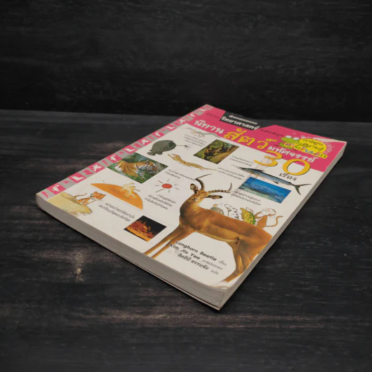 นิทานสัตว์มหัศจรรย์ 30 เรื่อง - Longhorn Beetle รูปที่ 4
