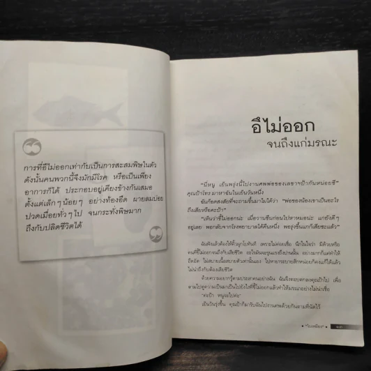 เรื่องเล่าชาวไข้ - ใบเหมียง รูปที่ 8