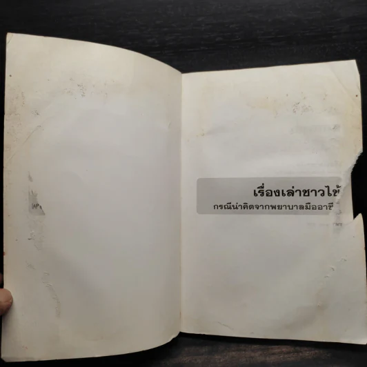 เรื่องเล่าชาวไข้ - ใบเหมียง รูปที่ 5
