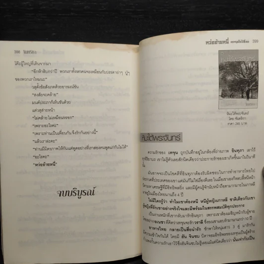 หว่ออ้ายหนี่ ขอหยุดใจไว้ที่เธอ - จันทริกา รูปที่ 7
