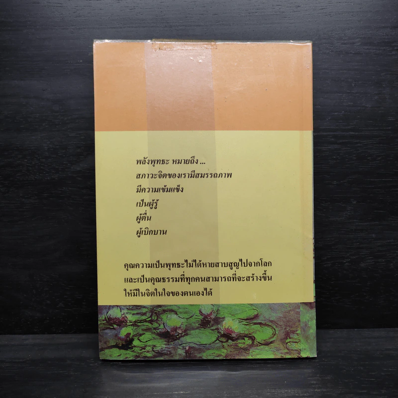 ฐานิยปูชา 2551 รูปที่ 2