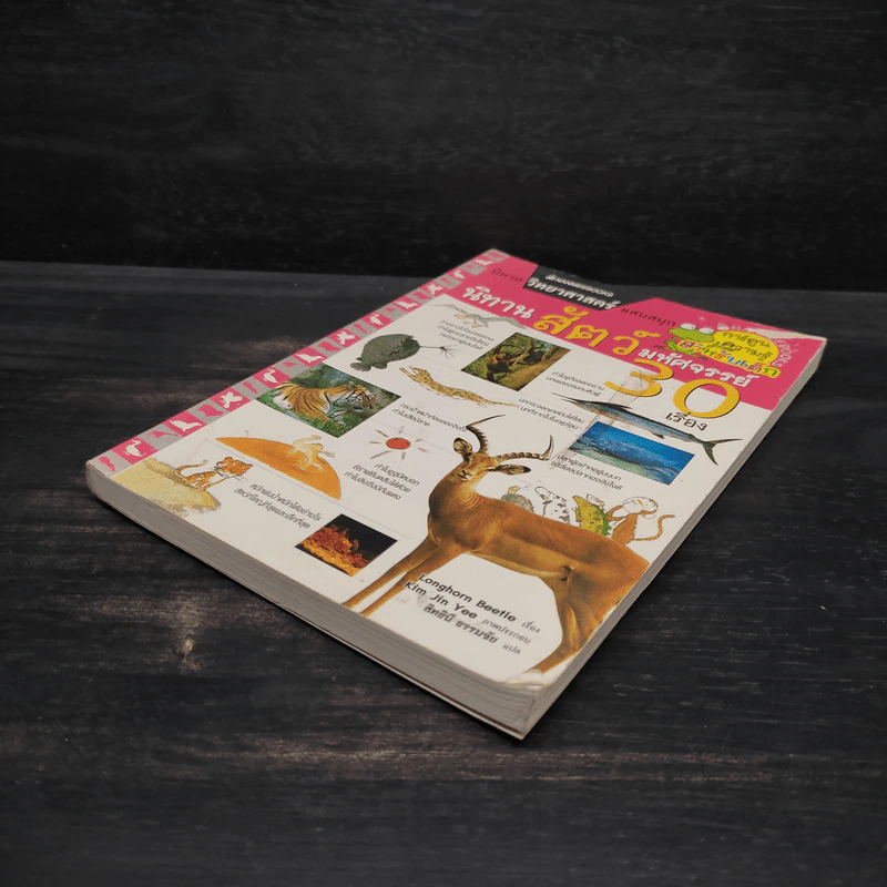 นิทานสัตว์มหัศจรรย์ 30 เรื่อง - Longhorn Beetle รูปที่ 4