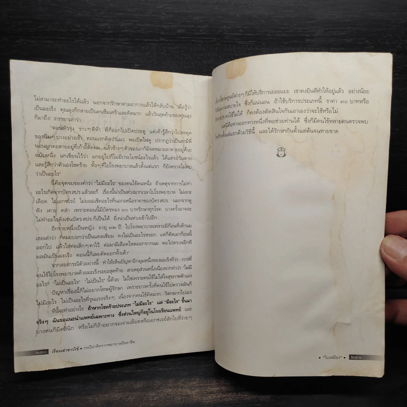 เรื่องเล่าชาวไข้ - ใบเหมียง รูปที่ 10