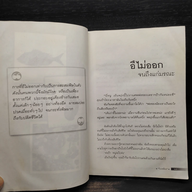 เรื่องเล่าชาวไข้ - ใบเหมียง รูปที่ 8