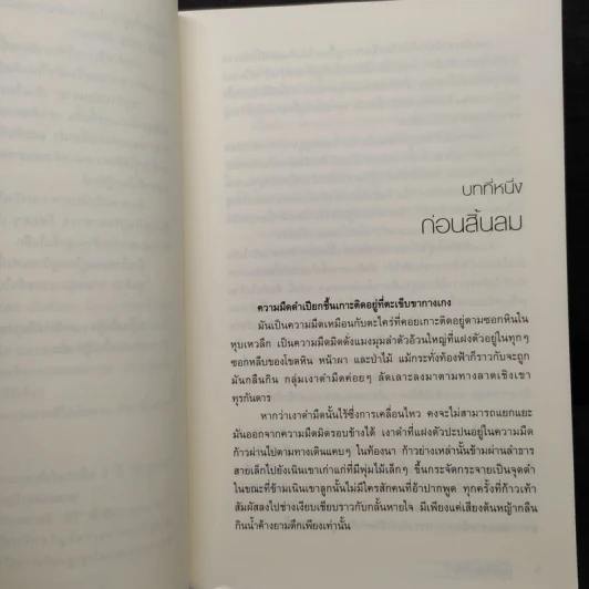 หมู่บ้านซ่อนตาย - คิม จิง อิล รูปที่ 6