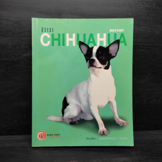 ชิวาวา Chihuahua - แพทย์หญิงจินตนา คงทวีกุล รูปที่ 1