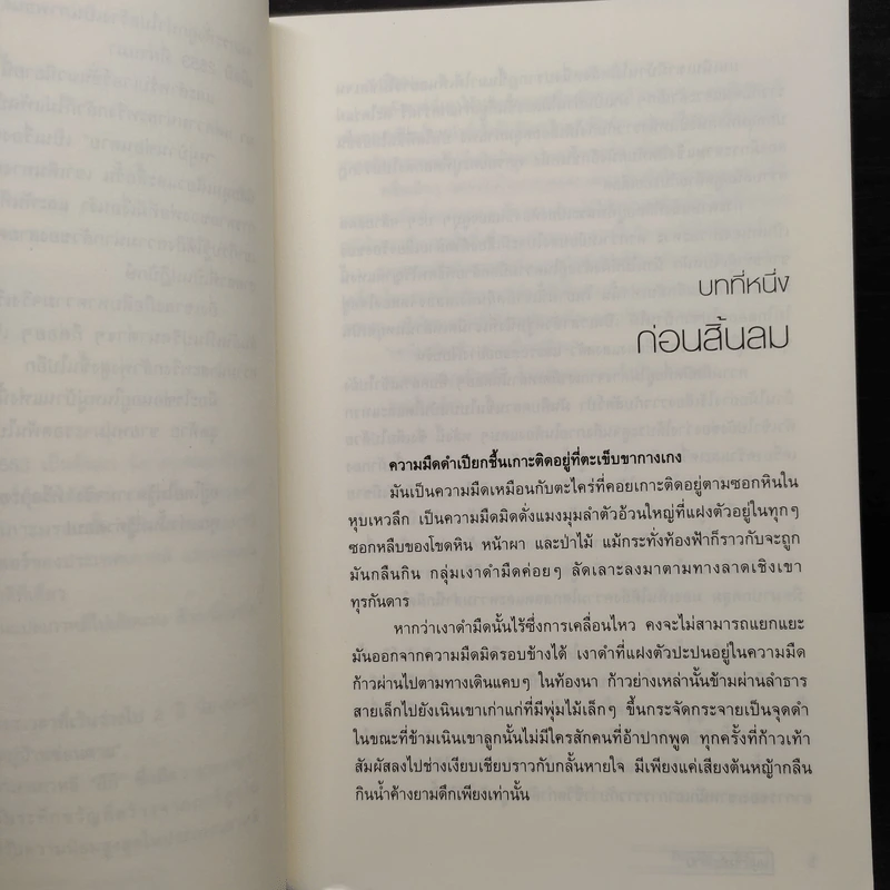 หมู่บ้านซ่อนตาย - คิม จิง อิล รูปที่ 6