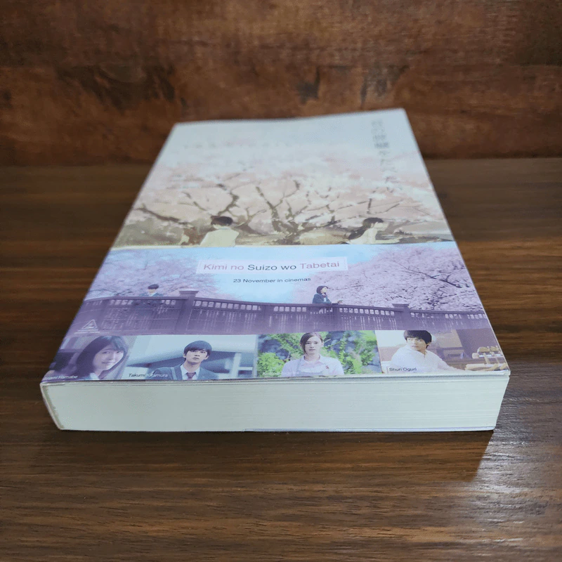 ตับอ่อนเธอนั้นขอฉันเถอะนะ : I Want to Eat Your Pancreas - Yoru Sumino (โยรุ ซูมิโนะ) รูปที่ 4