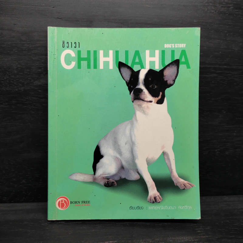 ชิวาวา Chihuahua - แพทย์หญิงจินตนา คงทวีกุล รูปที่ 1