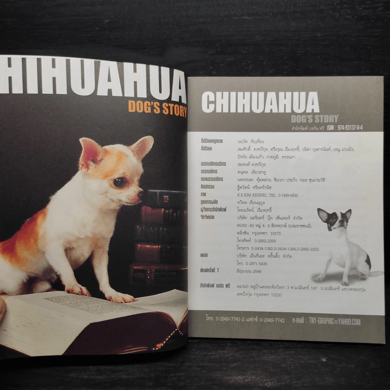 ชิวาวา Chihuahua - แพทย์หญิงจินตนา คงทวีกุล รูปที่ 5
