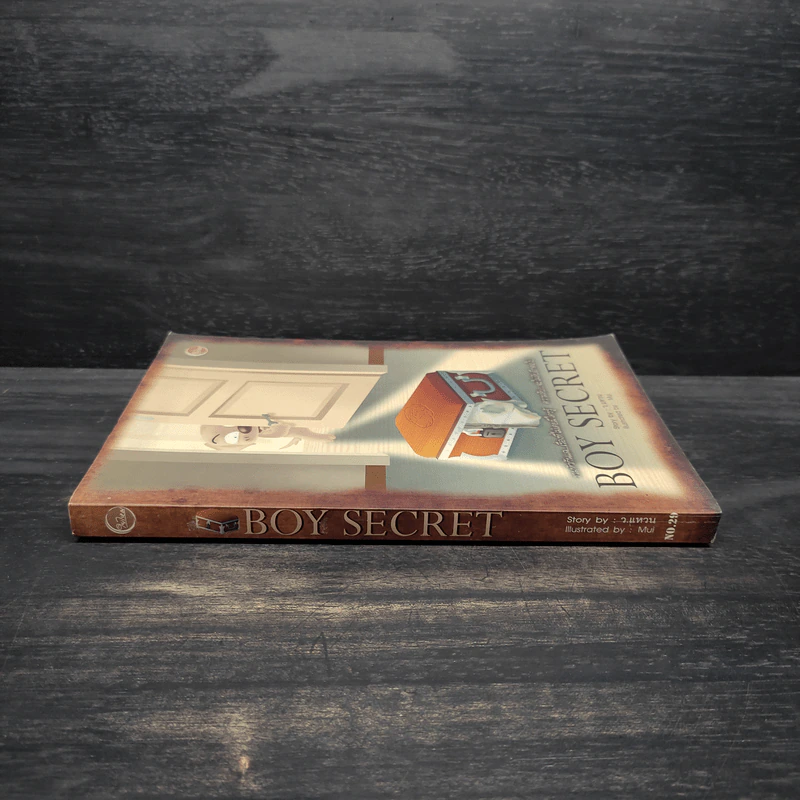 Boy Secret - ว.แหวน รูปที่ 3