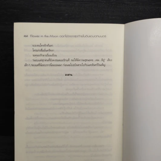 Flower in the Moon ดอกไม้ดอกสุดท้ายในดินแดนเวทมนตร์ - error medicine รูปที่ 7
