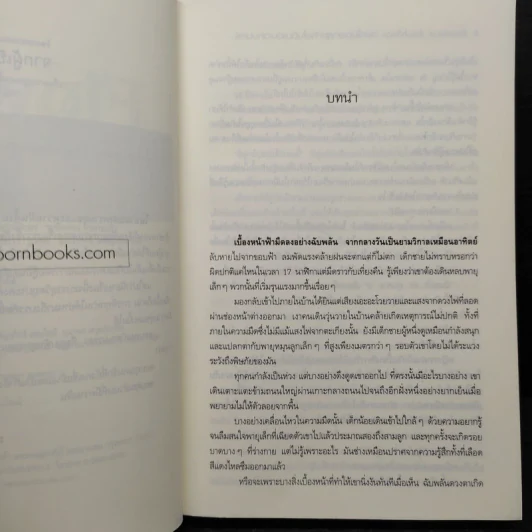 Flower in the Moon ดอกไม้ดอกสุดท้ายในดินแดนเวทมนตร์ - error medicine รูปที่ 6