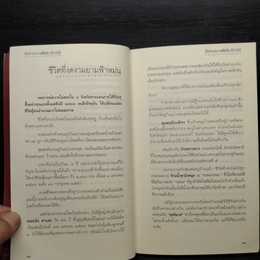 เมื่อฟ้าหม่น เจดีย์หักที่ปักษ์ใต้ - วิมลพรรณ ปีตธวัชชัย รูปที่ 6