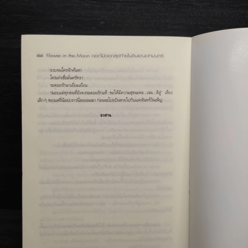 Flower in the Moon ดอกไม้ดอกสุดท้ายในดินแดนเวทมนตร์ - error medicine รูปที่ 7