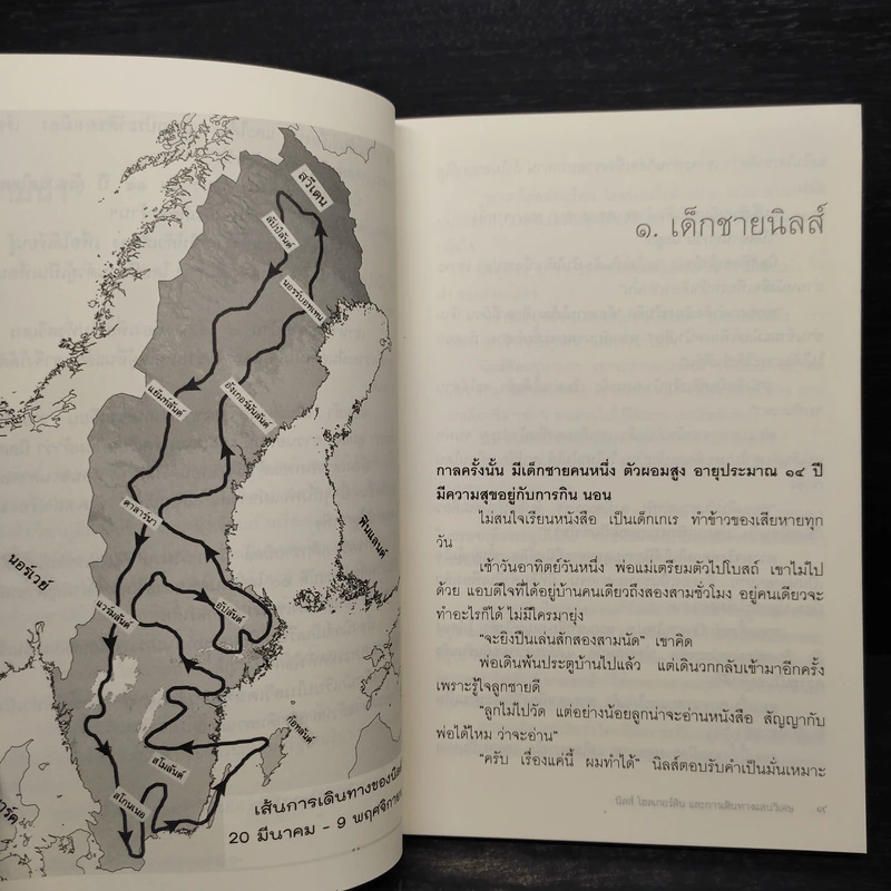 นิลส์ โฮลเกอร์สัน และการเดินทางแสนวิเศษ รูปที่ 7