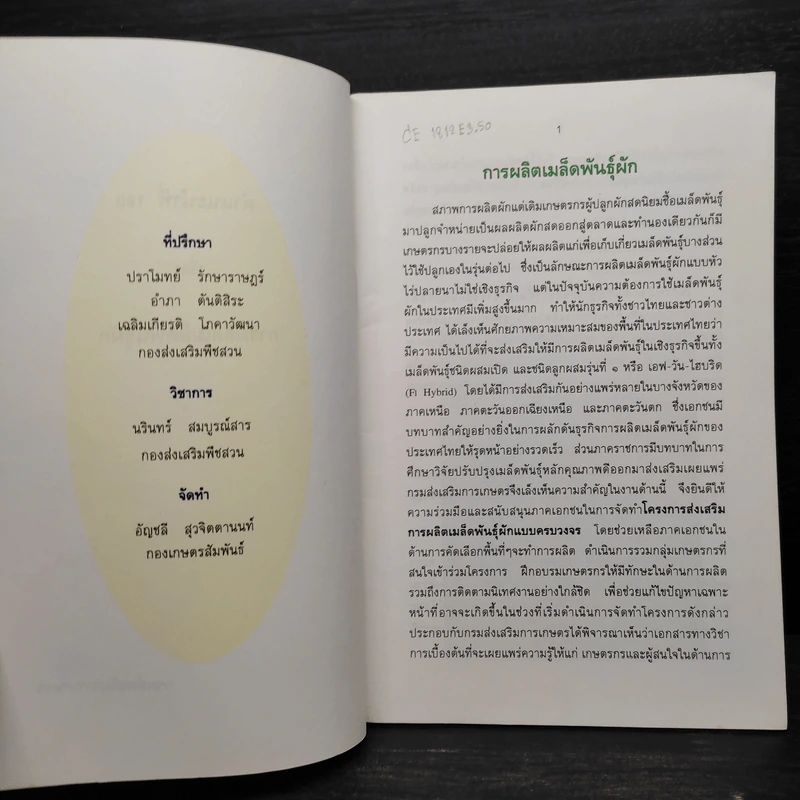 การผลิตเมล็ดพันธุ์ผัก รูปที่ 5