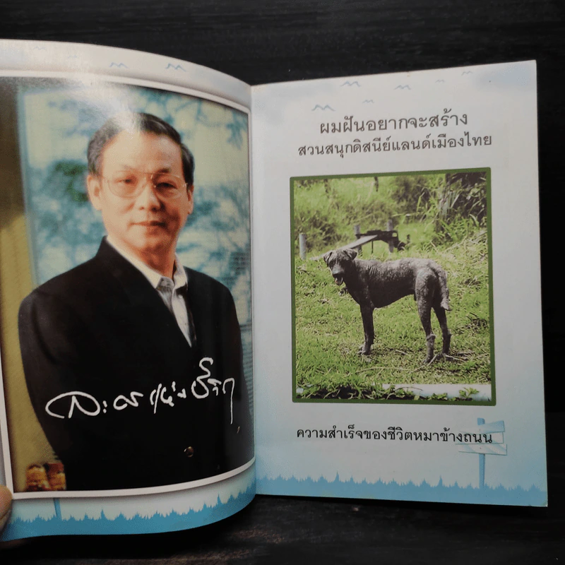 ชีวิตหมาข้างถนน - ไชยวัฒน์ เหลืองอมรเลิศ รูปที่ 5