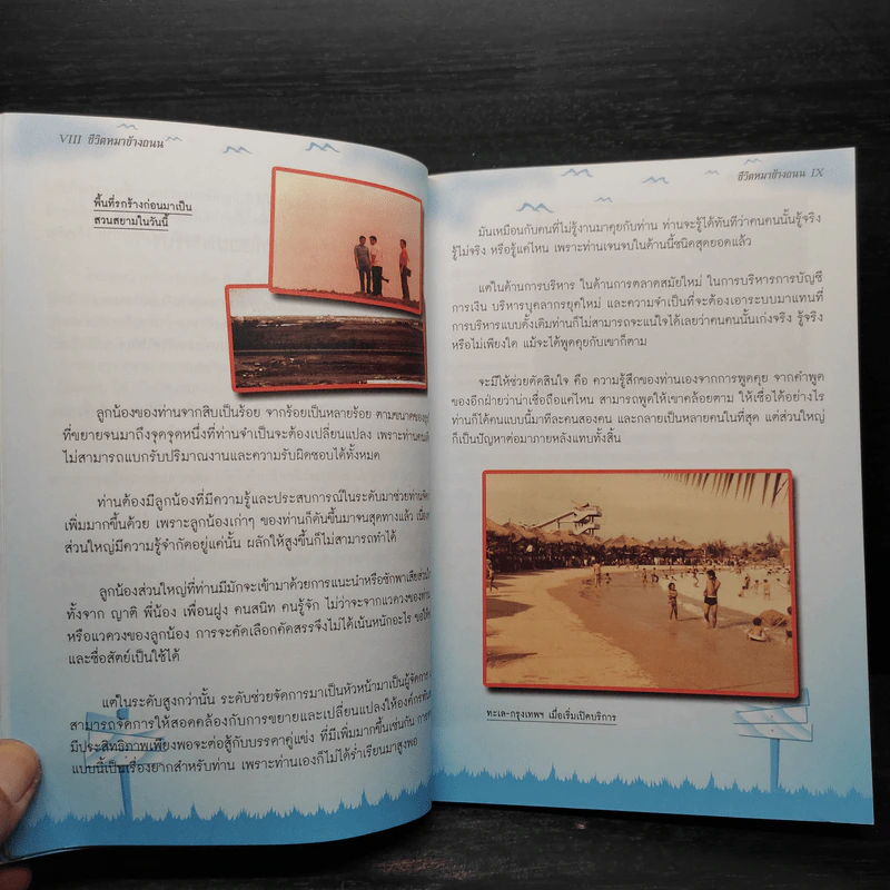 ชีวิตหมาข้างถนน - ไชยวัฒน์ เหลืองอมรเลิศ รูปที่ 6
