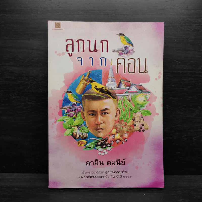 ลูกนกจากคอน - คามิน คมนีย์ รูปที่ 1